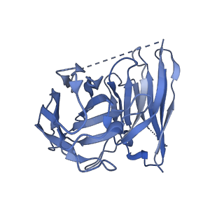 36280_8jhn_H_v1-1
Structure of MMF-GPR109A-G protein complex