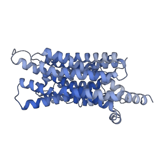 36285_8jhr_A_v1-0
Cryo-EM structure of human S1P transporter SPNS2 bound with an inhibitor 16d