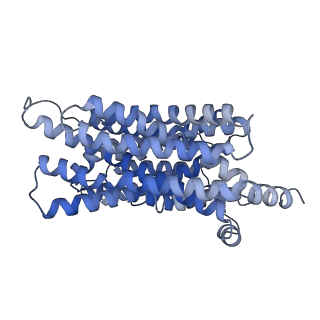 36285_8jhr_A_v1-1
Cryo-EM structure of human S1P transporter SPNS2 bound with an inhibitor 16d