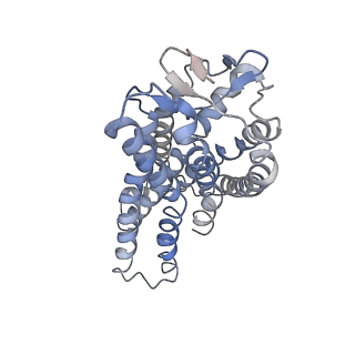 36300_8jhy_A_v1-1
Cryo-EM structure of compound 9n bound ketone body receptor HCAR2-Gi signaling complex