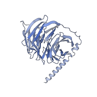36300_8jhy_B_v1-1
Cryo-EM structure of compound 9n bound ketone body receptor HCAR2-Gi signaling complex