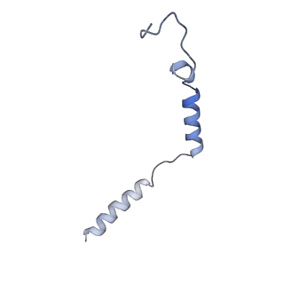 36300_8jhy_C_v1-1
Cryo-EM structure of compound 9n bound ketone body receptor HCAR2-Gi signaling complex