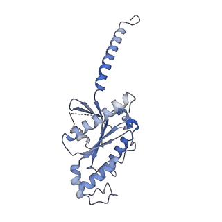36300_8jhy_D_v1-1
Cryo-EM structure of compound 9n bound ketone body receptor HCAR2-Gi signaling complex