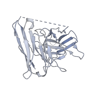 36300_8jhy_S_v1-1
Cryo-EM structure of compound 9n bound ketone body receptor HCAR2-Gi signaling complex