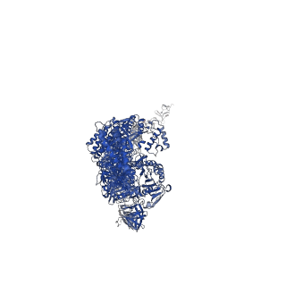 36301_8jhz_A_v1-0
Cryo-EM structure of the TcsH-TMPRSS2 complex