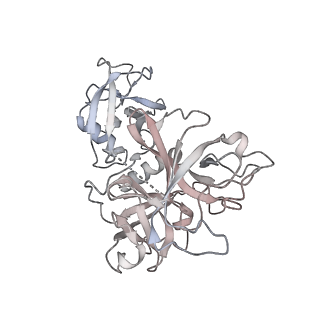 36301_8jhz_B_v1-0
Cryo-EM structure of the TcsH-TMPRSS2 complex