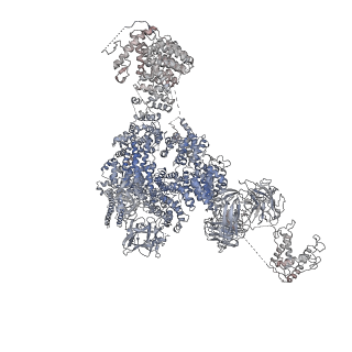 9825_6jh6_B_v1-1
Structure of RyR2 (F/A/Ca2+ dataset)