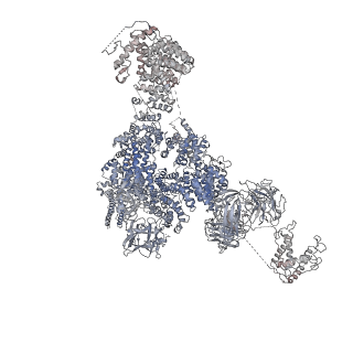 9825_6jh6_B_v1-2
Structure of RyR2 (F/A/Ca2+ dataset)