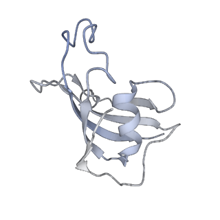 9825_6jh6_C_v1-1
Structure of RyR2 (F/A/Ca2+ dataset)