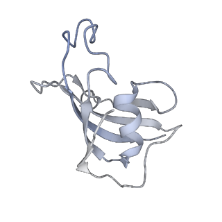 9825_6jh6_C_v1-2
Structure of RyR2 (F/A/Ca2+ dataset)