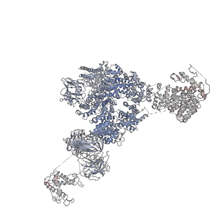 9825_6jh6_D_v1-2
Structure of RyR2 (F/A/Ca2+ dataset)