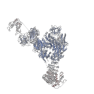 9825_6jh6_F_v1-1
Structure of RyR2 (F/A/Ca2+ dataset)