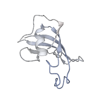 9825_6jh6_G_v1-1
Structure of RyR2 (F/A/Ca2+ dataset)