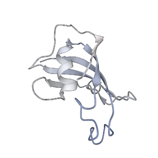 9825_6jh6_G_v1-2
Structure of RyR2 (F/A/Ca2+ dataset)