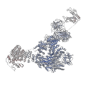 9825_6jh6_H_v1-1
Structure of RyR2 (F/A/Ca2+ dataset)
