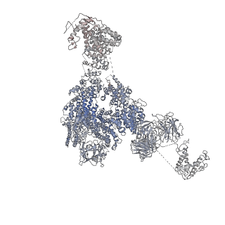 9826_6jhn_A_v1-2
Structure of RyR2 (F/C/Ca2+ dataset)