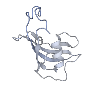 9826_6jhn_D_v1-2
Structure of RyR2 (F/C/Ca2+ dataset)