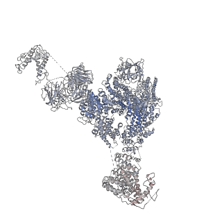 9826_6jhn_E_v1-2
Structure of RyR2 (F/C/Ca2+ dataset)