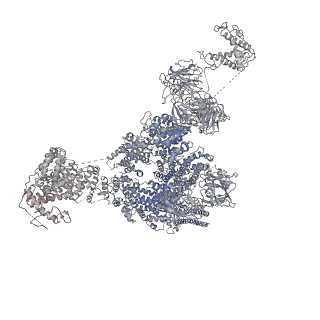 9826_6jhn_G_v1-2
Structure of RyR2 (F/C/Ca2+ dataset)