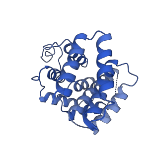 22341_7ji0_A_v1-2
CryoEM structure of Streptococcus thermophilus SHP pheromone receptor Rgg3 in complex with SHP3