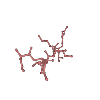 22341_7ji0_C_v1-2
CryoEM structure of Streptococcus thermophilus SHP pheromone receptor Rgg3 in complex with SHP3