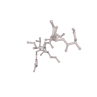 22341_7ji0_D_v1-2
CryoEM structure of Streptococcus thermophilus SHP pheromone receptor Rgg3 in complex with SHP3