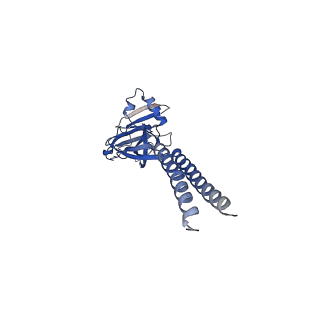22343_7ji3_B_v1-1
Cryo-EM structure of a proton-activated chloride channel