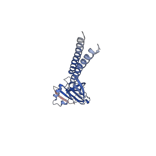 22343_7ji3_C_v1-1
Cryo-EM structure of a proton-activated chloride channel