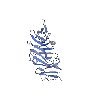 22344_7jic_A_v1-0
Structure of human CD19-CD81 co-receptor complex bound to coltuximab Fab fragment
