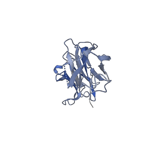 22344_7jic_H_v1-0
Structure of human CD19-CD81 co-receptor complex bound to coltuximab Fab fragment
