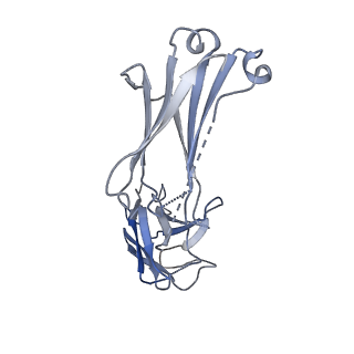 22344_7jic_L_v1-0
Structure of human CD19-CD81 co-receptor complex bound to coltuximab Fab fragment