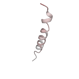 22345_7jil_5_v1-2
70S ribosome Flavobacterium johnsoniae