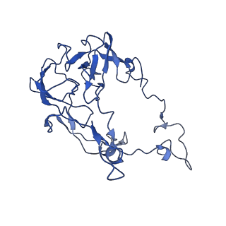 22345_7jil_B_v1-2
70S ribosome Flavobacterium johnsoniae