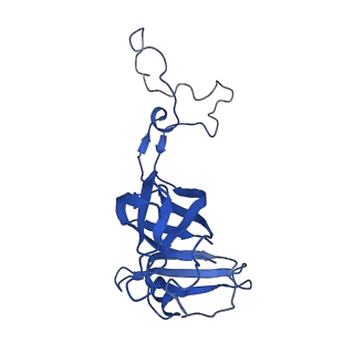 22345_7jil_C_v1-2
70S ribosome Flavobacterium johnsoniae