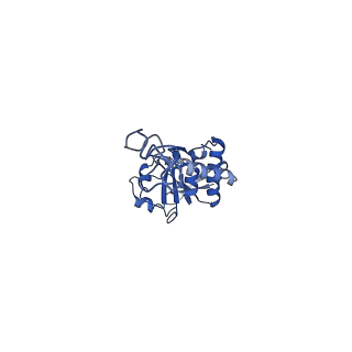 22345_7jil_D_v1-2
70S ribosome Flavobacterium johnsoniae