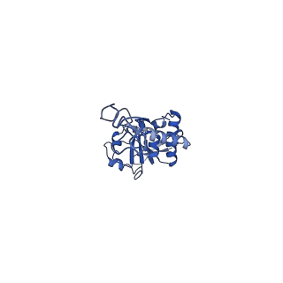 22345_7jil_D_v2-0
70S ribosome Flavobacterium johnsoniae