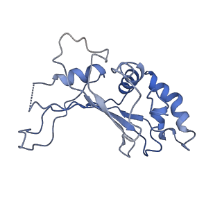 22345_7jil_E_v1-2
70S ribosome Flavobacterium johnsoniae