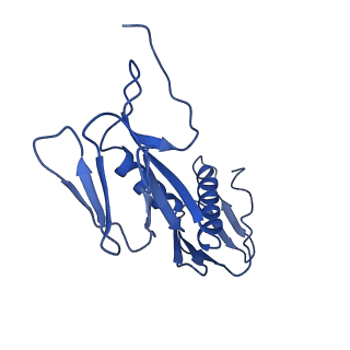 22345_7jil_F_v1-2
70S ribosome Flavobacterium johnsoniae