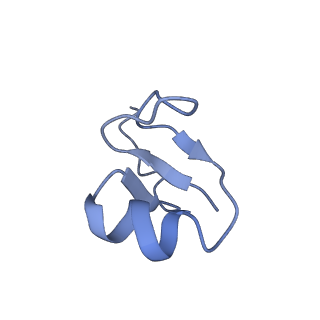 22345_7jil_G_v1-2
70S ribosome Flavobacterium johnsoniae