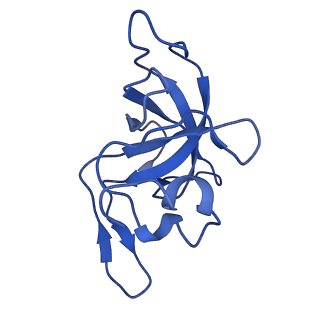 22345_7jil_K_v1-2
70S ribosome Flavobacterium johnsoniae