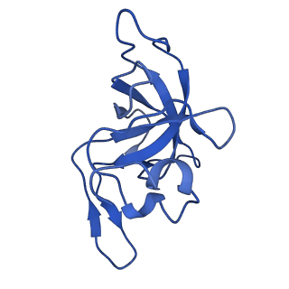 22345_7jil_K_v2-0
70S ribosome Flavobacterium johnsoniae