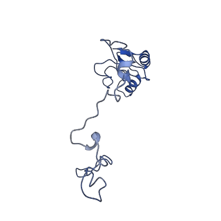 22345_7jil_L_v1-2
70S ribosome Flavobacterium johnsoniae
