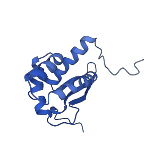 22345_7jil_N_v1-2
70S ribosome Flavobacterium johnsoniae