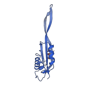 22345_7jil_S_v2-0
70S ribosome Flavobacterium johnsoniae