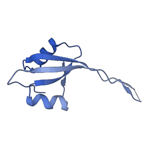 22345_7jil_T_v1-2
70S ribosome Flavobacterium johnsoniae