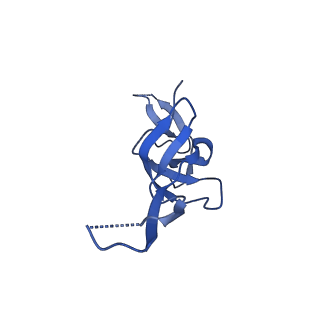 22345_7jil_U_v1-2
70S ribosome Flavobacterium johnsoniae