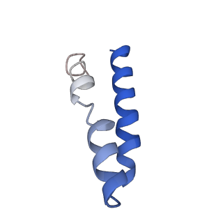 22345_7jil_Y_v1-2
70S ribosome Flavobacterium johnsoniae