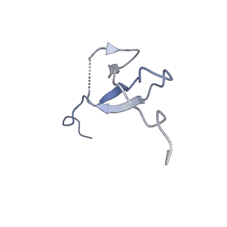 22345_7jil_a_v1-2
70S ribosome Flavobacterium johnsoniae