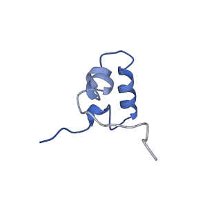 22345_7jil_d_v1-2
70S ribosome Flavobacterium johnsoniae