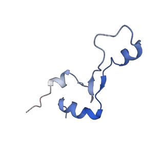 22345_7jil_e_v1-2
70S ribosome Flavobacterium johnsoniae